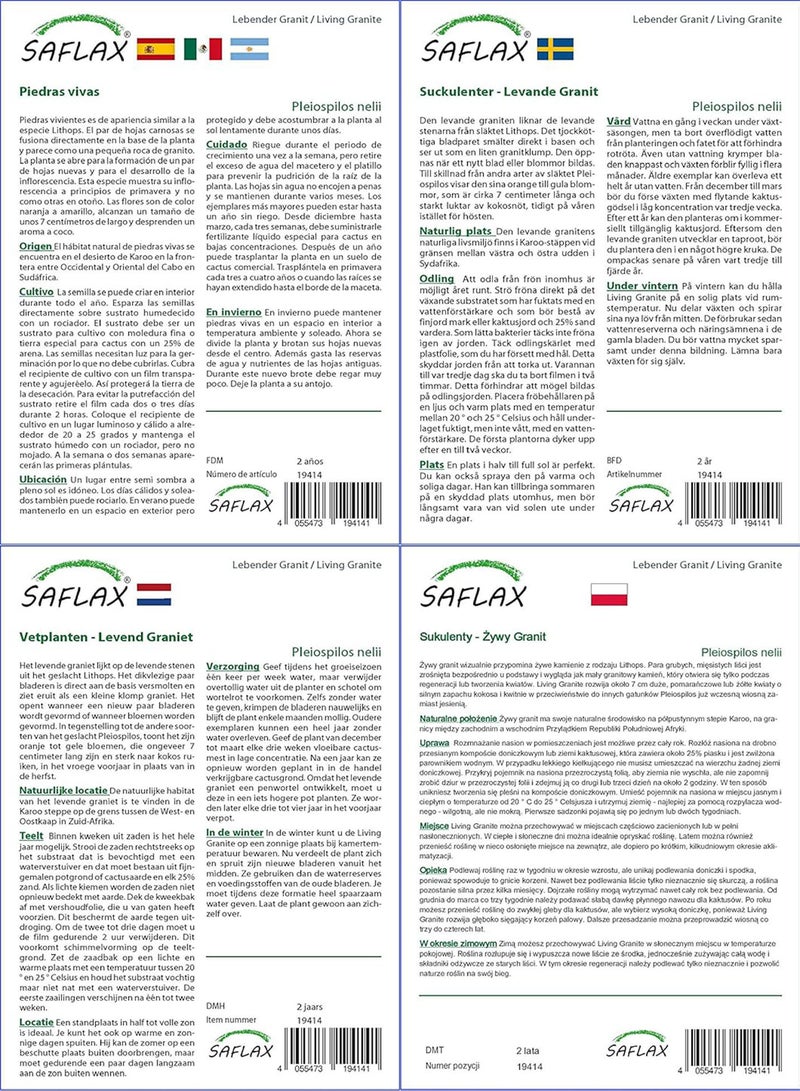 GGOOT Gift Set - Living Granite - 40 Seeds - Pleiopilos nelii - Image 4