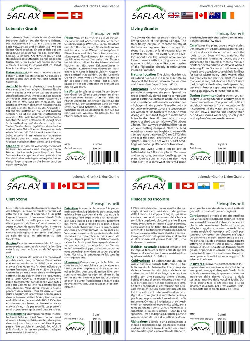 GGOOT Gift Set - Living Granite - 40 Seeds - Pleiopilos nelii - Image 3