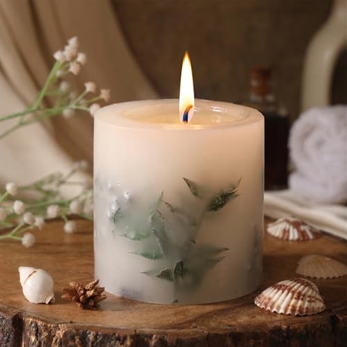Goyoham | Forest Fern Scented Botanical Candle, 70 Hour Burn Time | Large - 4 x 4 Inch, 750g | Woody Fir Tree Fragrance | Handcrafted with Natural Botanicals | Home Decor & Gifting - Image 1