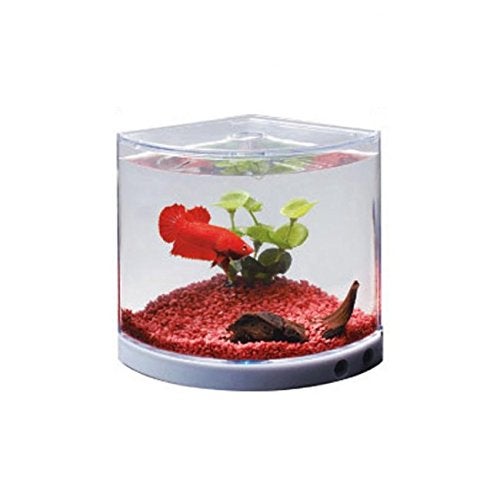 Dophin T-101 Plastic Aquarium Betta Fish Mini Tank - Image 1