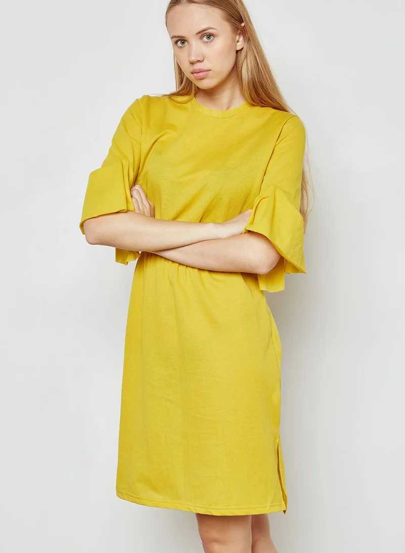 Ginger Ruffle Sleeve Dress