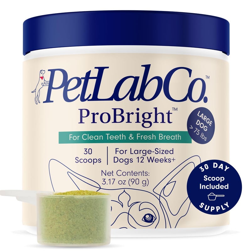 PetLab Co. ProBright Dental Powder - Dog Breath Freshener - Teeth Cleaning Made Easy â€“ Targets Tartar & Bad Breath - Formulated for Large Dogs - Packaging May Vary - Image 1