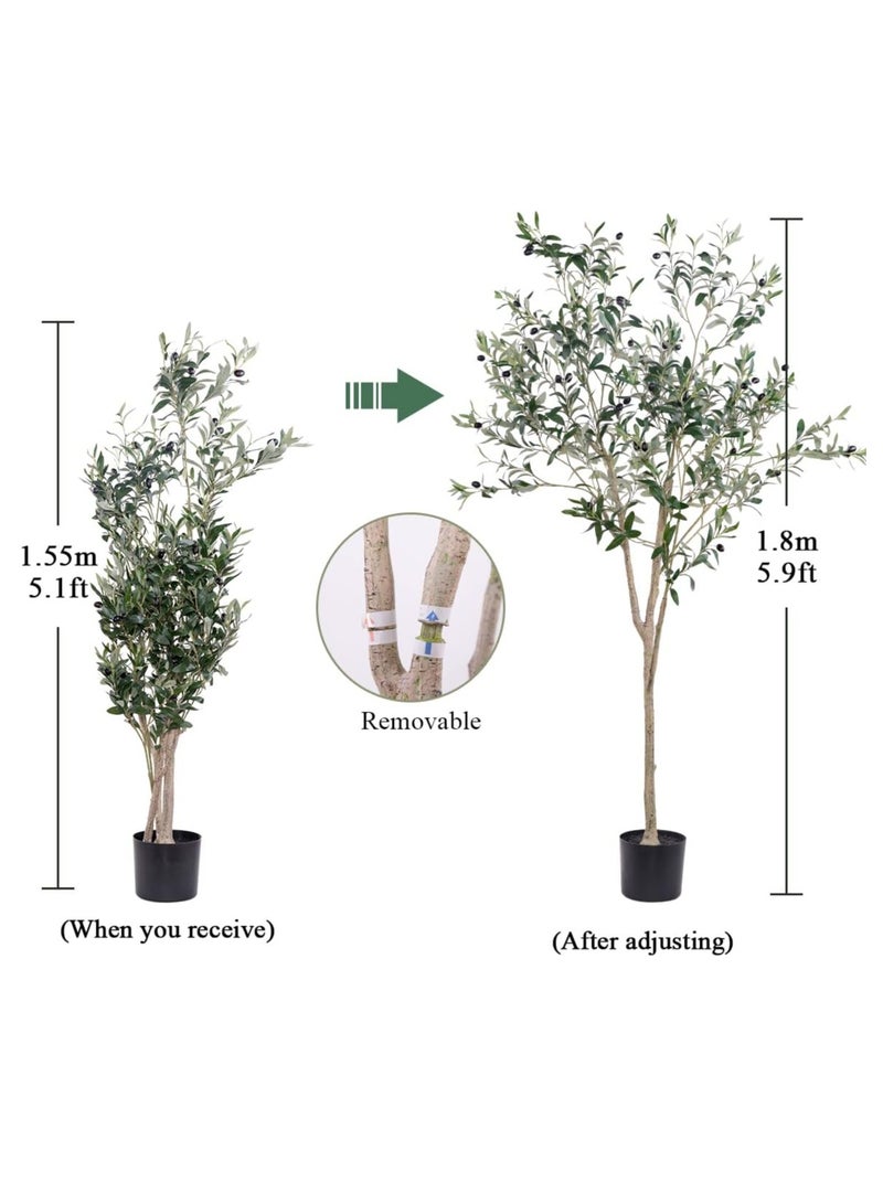 شجرة الزيتون الاصطناعية ، 6 أقدام طوول نبات الحرير شجرة الاصطناعية في أوراق فرع الزيتون المحفوظة بوعاء والفواكه لديكور المنزل الحديث الداخلي - Image 5