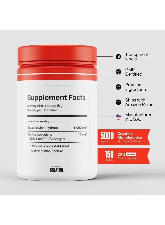 Old School Labs Classic CREATINE - Worldâ€™s First Probiotic Infused Creatine Monohydrate for Muscle Size, Strength, Immune Boost, Brain Health, And Gut Optimization, Unflavored, 300g Powder And Scoop - Image 2