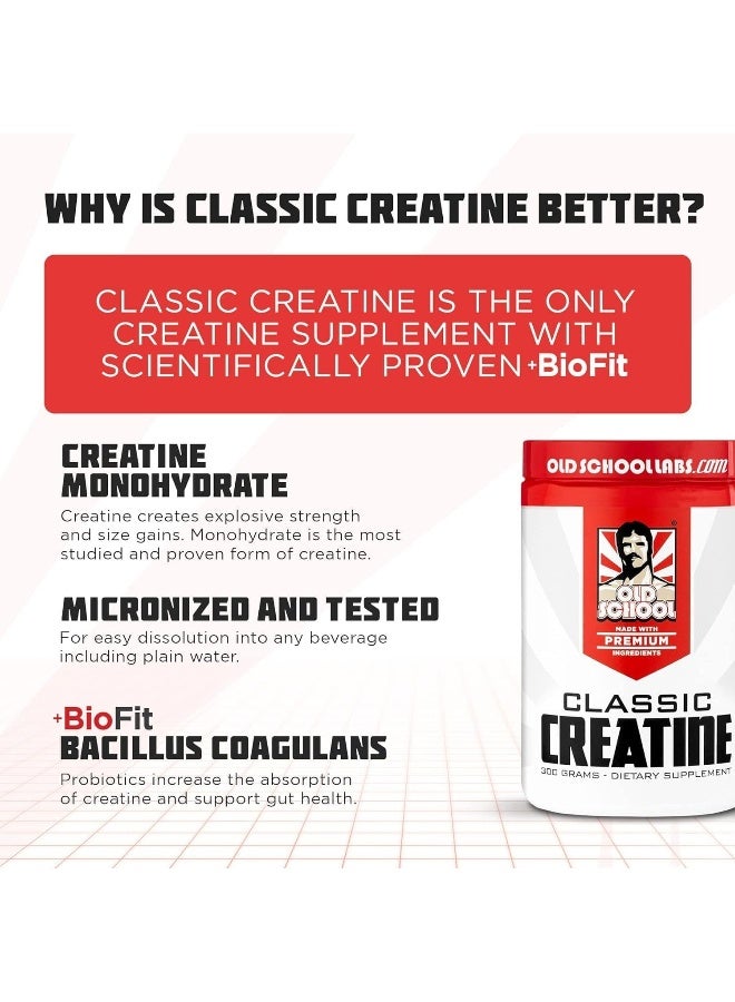 Old School Labs Classic CREATINE - Worldâ€™s First Probiotic Infused Creatine Monohydrate for Muscle Size, Strength, Immune Boost, Brain Health, And Gut Optimization, Unflavored, 300g Powder And Scoop - Image 3