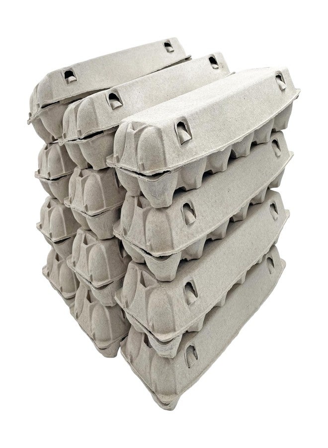 DASHER'S SPICE & BEANS Egg Carton | Natural Pulp by Dasher's Spice & Beans | Holds One Dozen Eggs | Arts & Crafts Paint Holder | Pack of 12 - Image 4