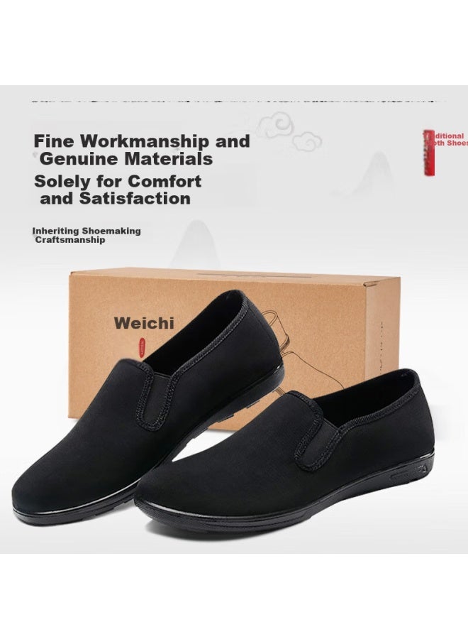 Weizhi Traditional Cloth Shoes For Men, Old Beijing Style Slip-on Work Shoes For Summer, Fashionable And Comfortable Elderly Shoes Wz1307 - Image 2