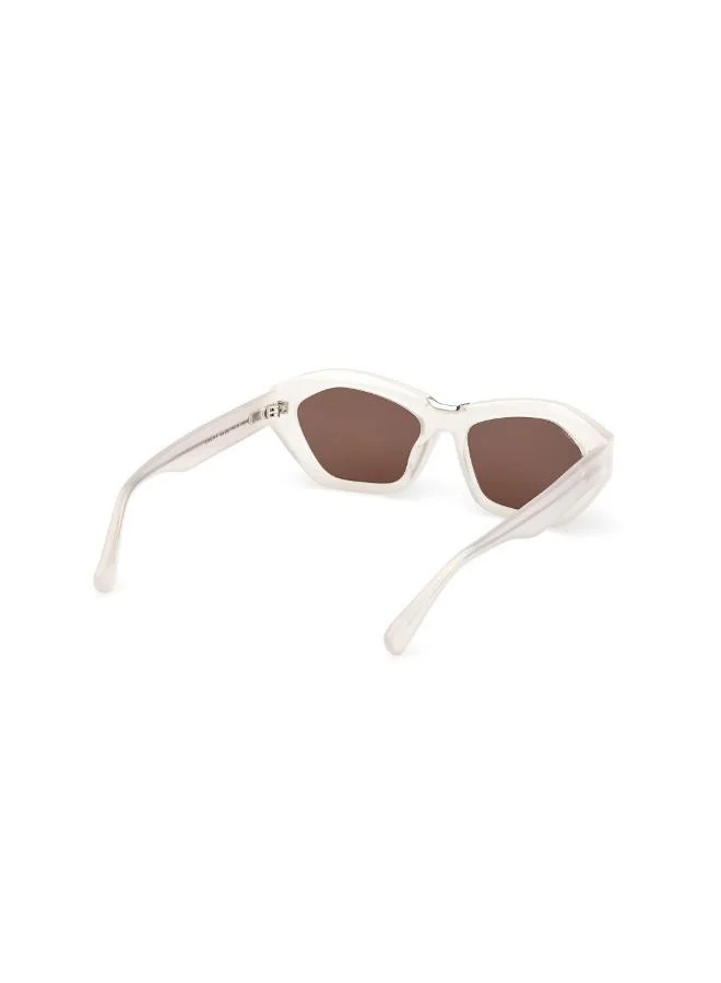 MaxMara  butterfly sunglasses for Women | Best Price UAE