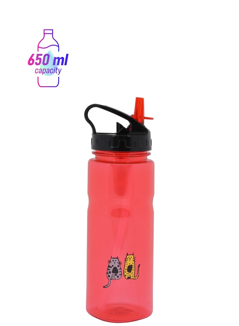 بيج ديزاين زجاجة مياه 650 مل لون أحمر - Image 1