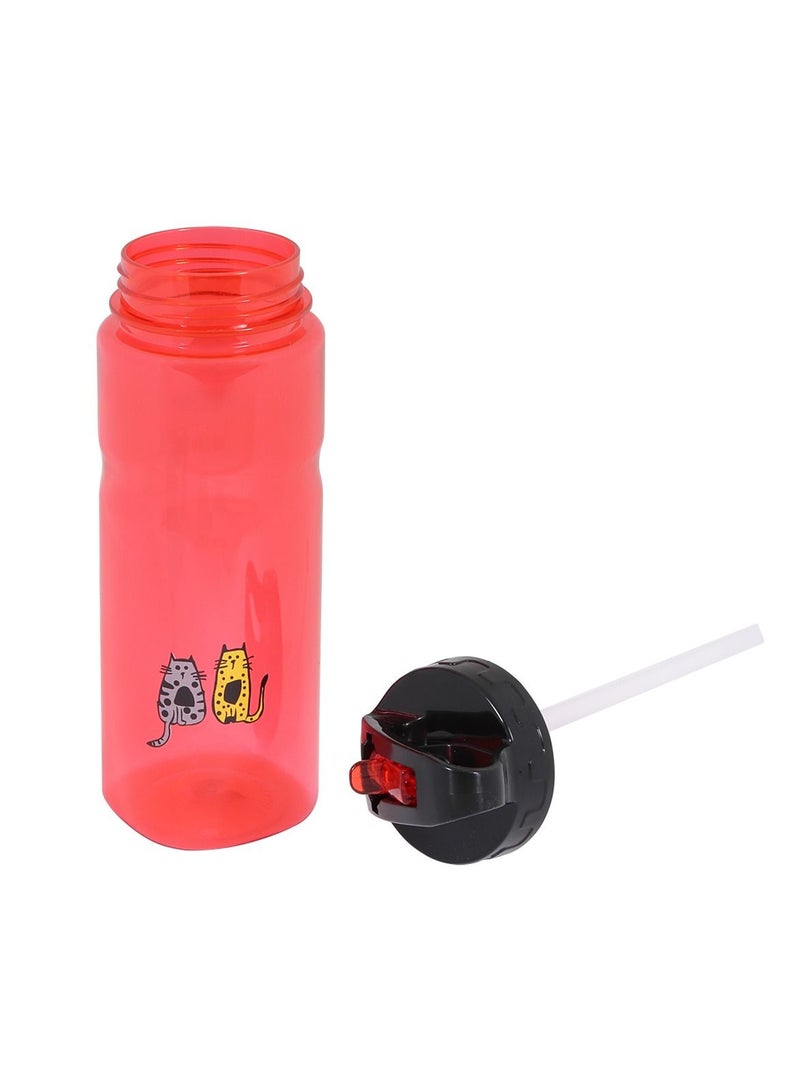 بيج ديزاين زجاجة مياه 650 مل لون أحمر - Image 2