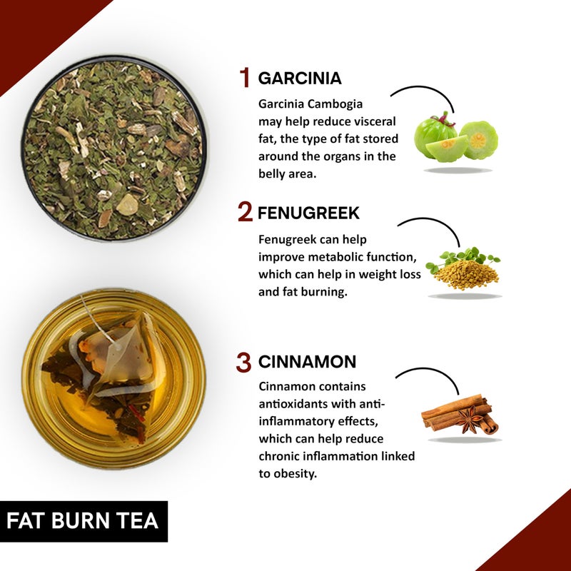 Teacurry Fat Burn Tea (180 Tea Bags 6 Month Pack) - Helps to Manage Fat, Get Toned & Slimmer Body | Natural Herbal Tea - Image 2