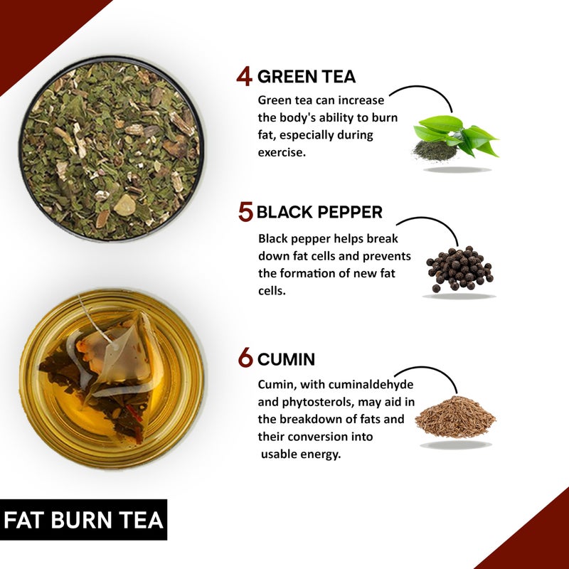 Teacurry Fat Burn Tea (180 Tea Bags 6 Month Pack) - Helps to Manage Fat, Get Toned & Slimmer Body | Natural Herbal Tea - Image 3