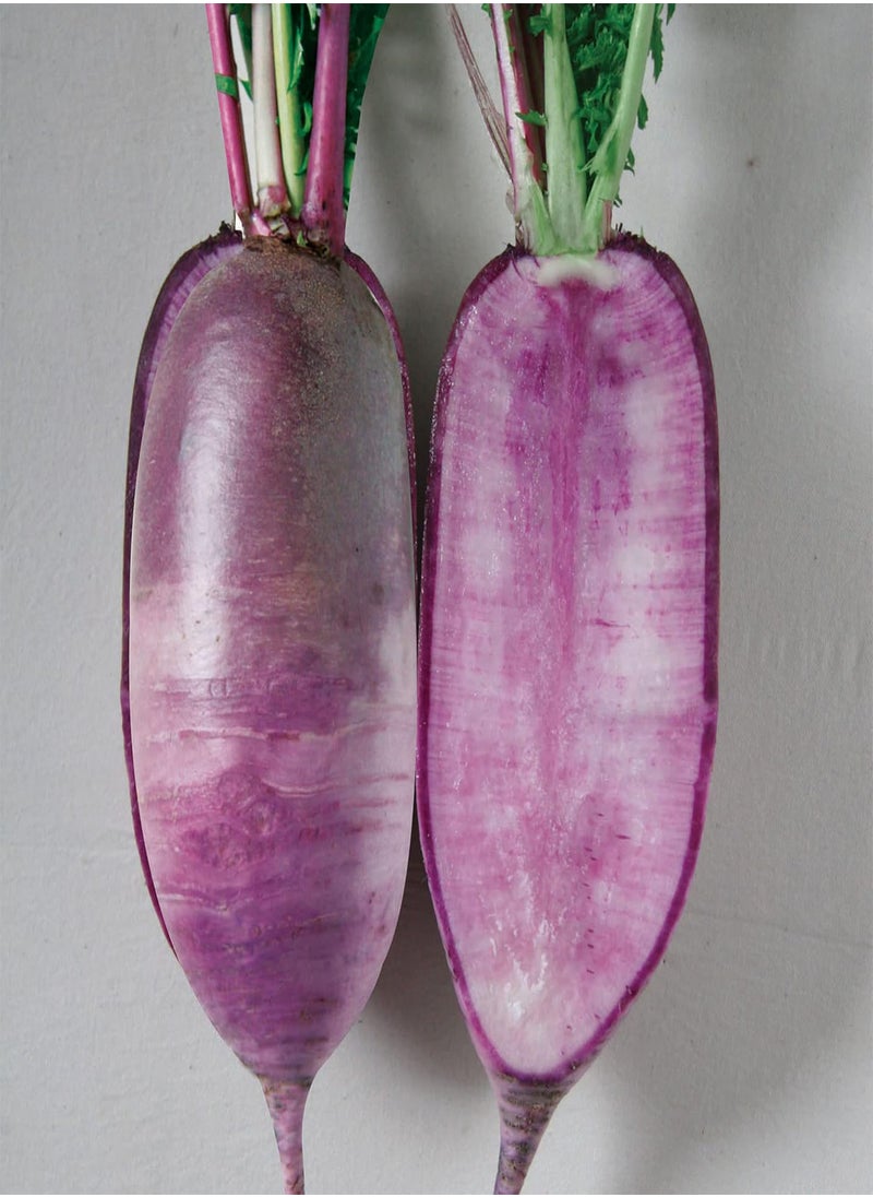 GGOOT Radish Seeds - Korean - Bora King - Hybrid - 1 g Packet ~162 Seeds - Non-GMO, F1 Hybrid - Asian Garden Vegetable 