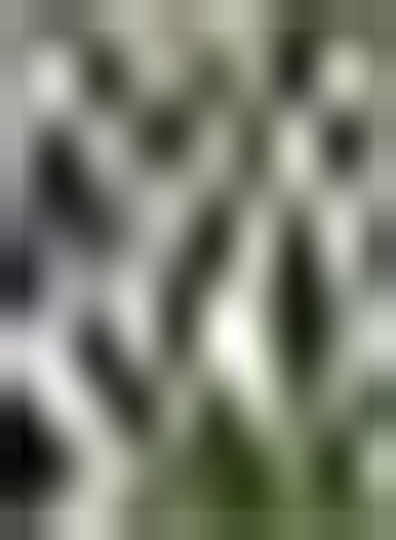 GGOOT 200pcs Thyme Seeds Develop Family Planting Green Charming Unique Seeds Decorates Bedroom Study Living Room High yielding Green Leaf Fresh Seeds - Image 1