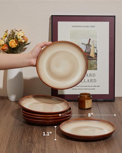 Pokini Stoneware Plates Set of 6, 8 Inch Handmade Reactive Glaze Ceramic Set for Dessert, Salad, Appetizer, Small Dinner Plates, Microwave & Dishwasher Safe, Highly Chip and Crack Resistant - Image 2