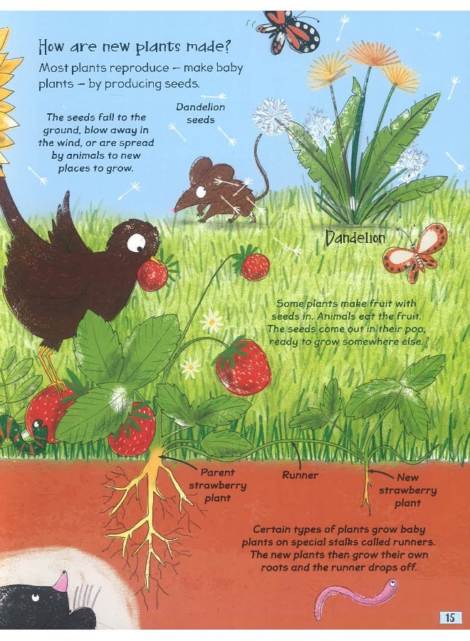Science Curious Questions & Answers - Image 5