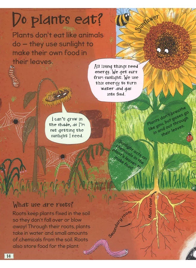Science Curious Questions & Answers - Image 4