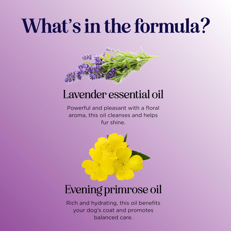 Honeydew Lavender Oil Dog Deodorizing Spray - Dog Spray for Smelly Dogs and Puppies and Dog Calming Spray with Lavender Essential Oil - Lightly Scented Dog Deodorizer for Smelly Dogs and Dog Essentials - Image 4