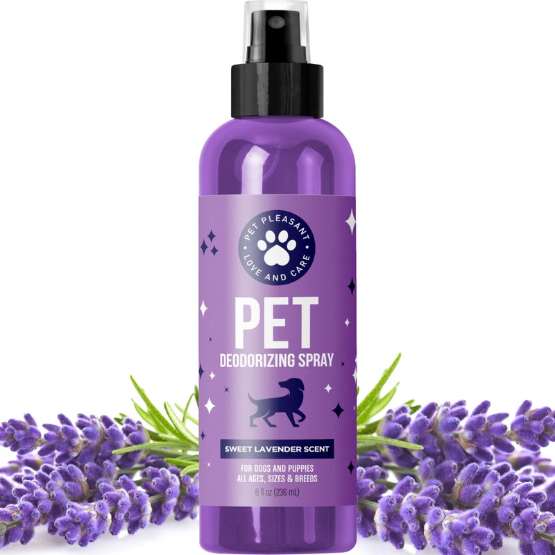 Honeydew Lavender Oil Dog Deodorizing Spray - Dog Spray for Smelly Dogs and Puppies and Dog Calming Spray with Lavender Essential Oil - Lightly Scented Dog Deodorizer for Smelly Dogs and Dog Essentials - Image 1
