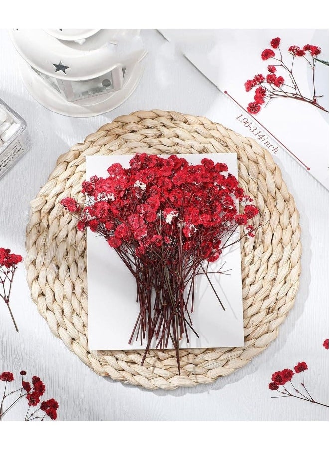 Generic Mini Dried Baby's Breath Flowers, 60 Pcs Dried Pressed Flowers 1.97-3.15 Inch Mini Natural Branches Bouquet for Wedding DIY Card Home Party Decor Vase Table Craft Decor  - Image 2