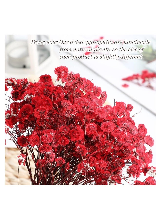 Generic Mini Dried Baby's Breath Flowers, 60 Pcs Dried Pressed Flowers 1.97-3.15 Inch Mini Natural Branches Bouquet for Wedding DIY Card Home Party Decor Vase Table Craft Decor  - Image 3