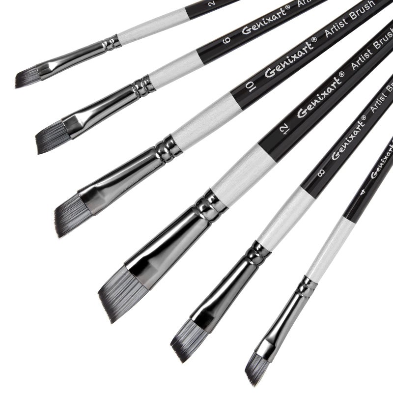 Genixart Angular Paint Brushes Set, 6 Pcs Angled Paintbrushes for Acrylic Oil Watercolor Gouache Painting, Premium Nylon Hair Angle Shader Brush for Art Beginners and Artist Professionals - Image 1