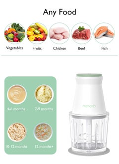 Baby Food Maker, Baby Food Processor Gift Set for Baby Food, Meat, Vegetable, Fruit, Baby Food Blender with Baby Food Containers, Food Freezer Tray, Silicone Spoons - pzsku/Z7AB790E8C7A361E05DB0Z/45/_/1740737251/a175a819-ee7a-4a98-a055-7889d7fc165e