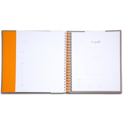 Mead Organizher School Memory Keeper, 14-Folder Organizher, 10.25 x 11.5 Inches, Purple (64051) - Image 3