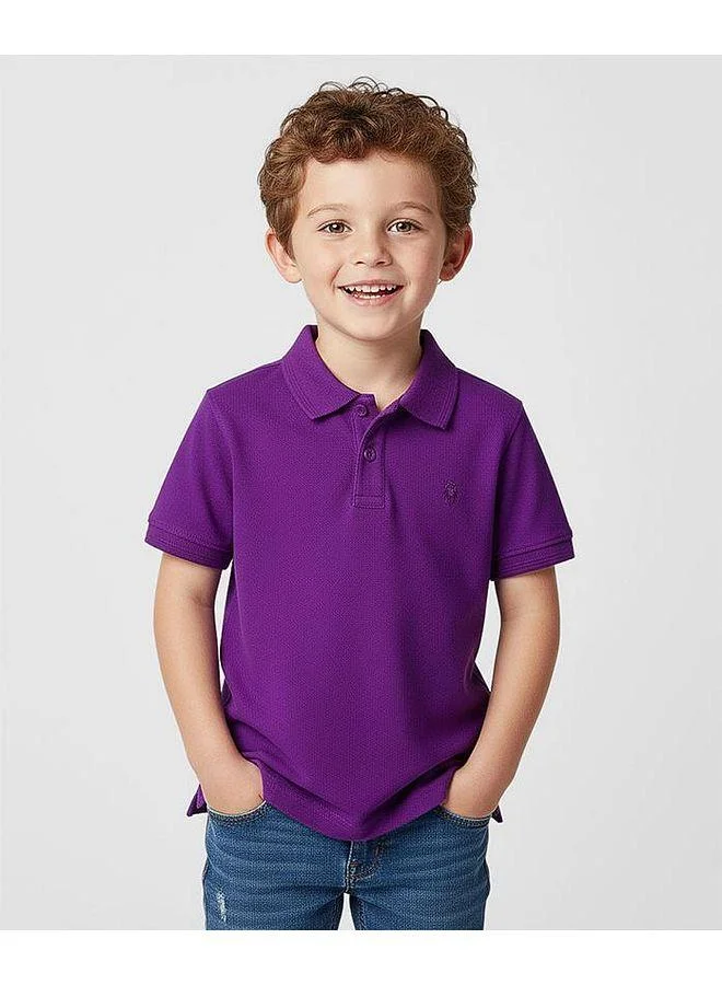 Pine Kids Pine Kids Cotton Knit Half Sleeves Solid Colour Polo T-Shirt - Purple