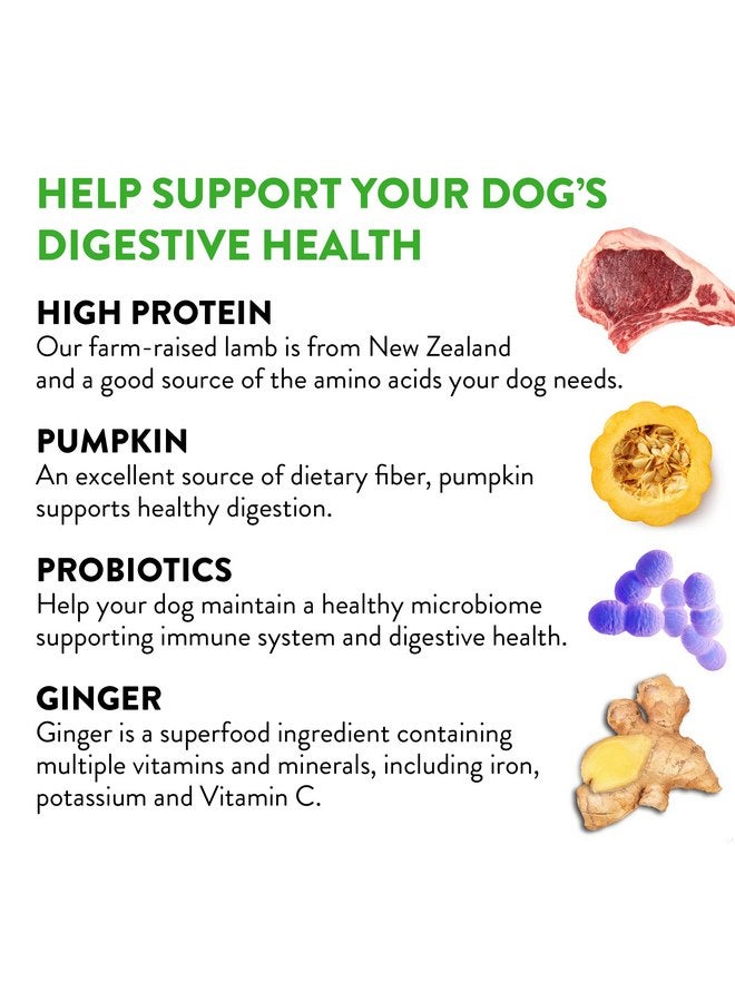 دوجسويل DOGSWELL Gut Health Mini Jerky Functional Dog Treats، لحم ضأن، كيس 4 أونصة - Image 3