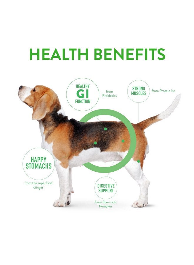دوجسويل DOGSWELL Gut Health Mini Jerky Functional Dog Treats، لحم ضأن، كيس 4 أونصة - Image 4