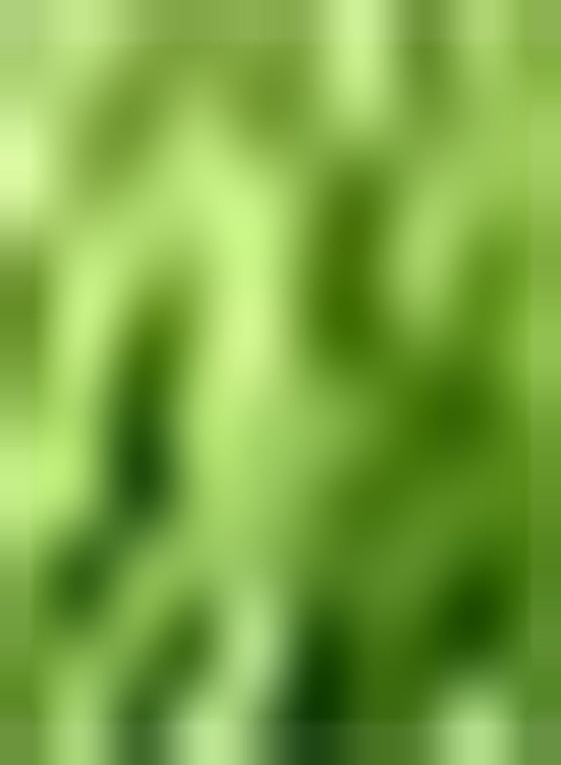 GGOOT 30Stück Bitterkürbissamen saftiges Gemüse für die Familie Weit verbreitet auf der ganzen Welt kultiviert bereit Zum Anpflanzen Oder Zubereiten ALS jedes Gericht - Image 2