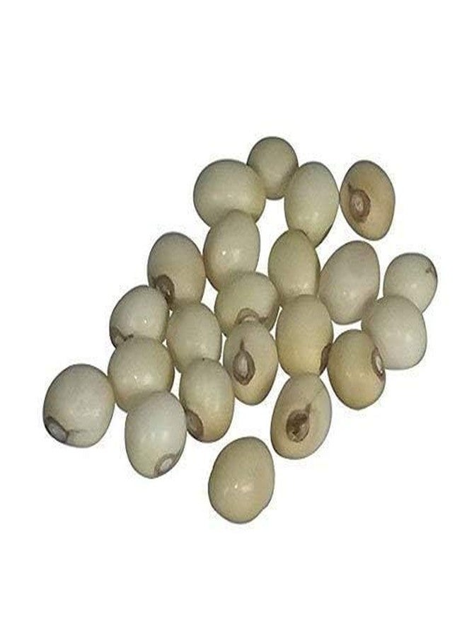 Natural Real Seed Safed Gunja Ratti/White Chirmi Bead/Abrus Precatorius Jequirity Rosary Pea for Pooja 101