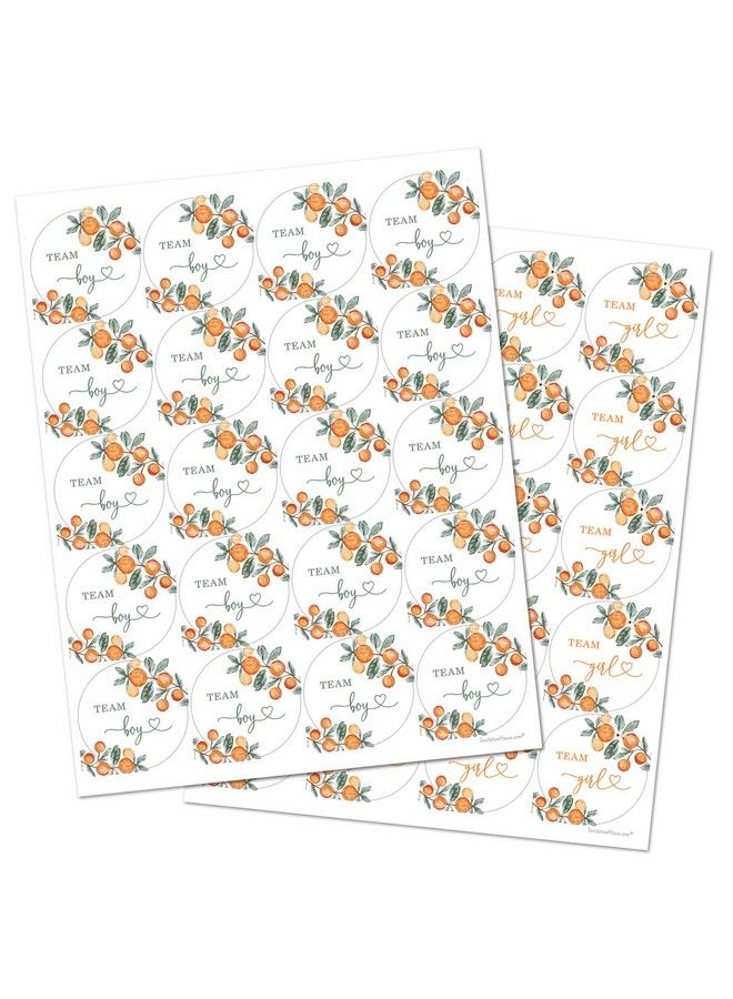 InvitationHouse Little Cutie Orange Gender Reveal Stickers 40 Labels (20 Of Each Design) - Image 5