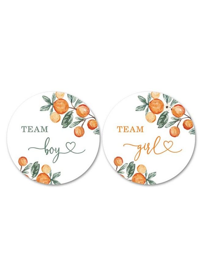 InvitationHouse Little Cutie Orange Gender Reveal Stickers 40 Labels (20 Of Each Design) - Image 1
