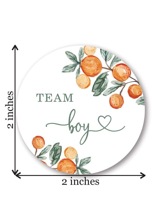 InvitationHouse Little Cutie Orange Gender Reveal Stickers 40 Labels (20 Of Each Design) - Image 4