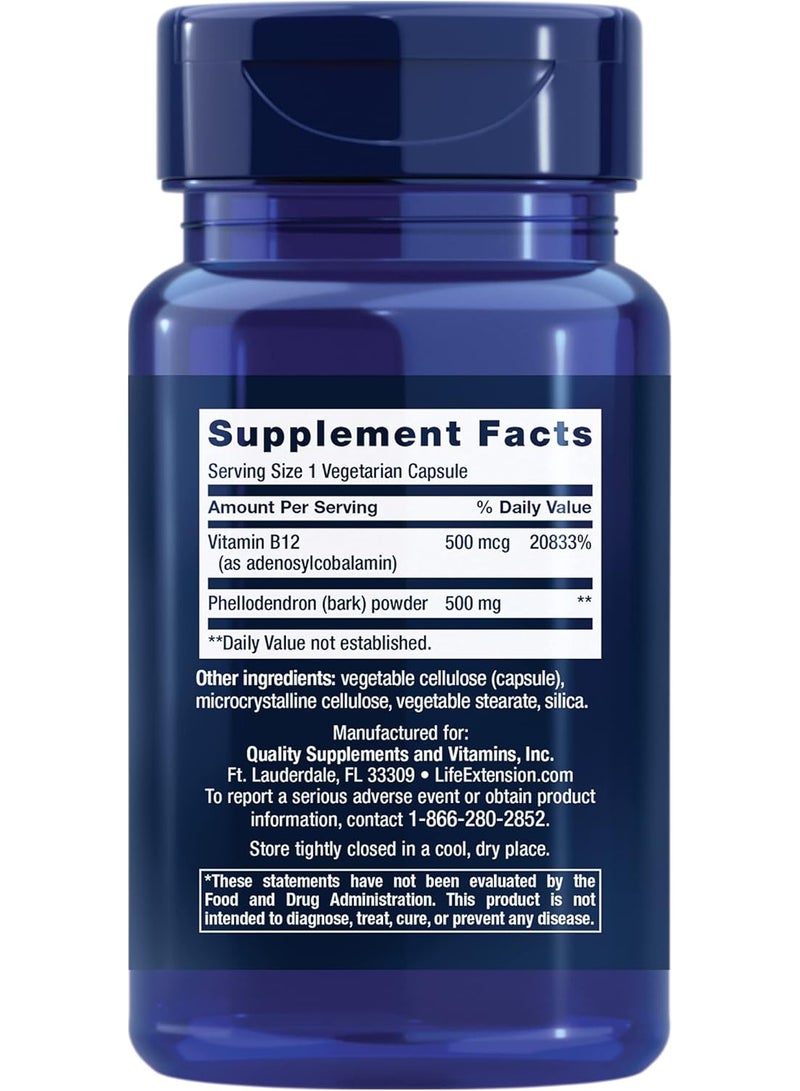 Life Extension Dopamine Advantage, Cognitive Health, Mental Sharpness, Motivation, Vitamin B12, phellodendron bark Powder, Gluten Free, Non-GMO, Vegetarian, 30 Capsules - Image 2