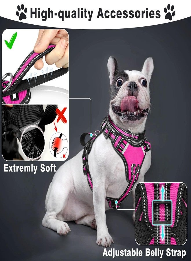 WINSEE Pet Harness Collar and Leash Set, All-in-one Reflective Dog Harness No Pull with Adjustable Buckles for Puppies, Small, Medium, Large, and Extra-Large Dogs (Large, Rosy) - Image 2
