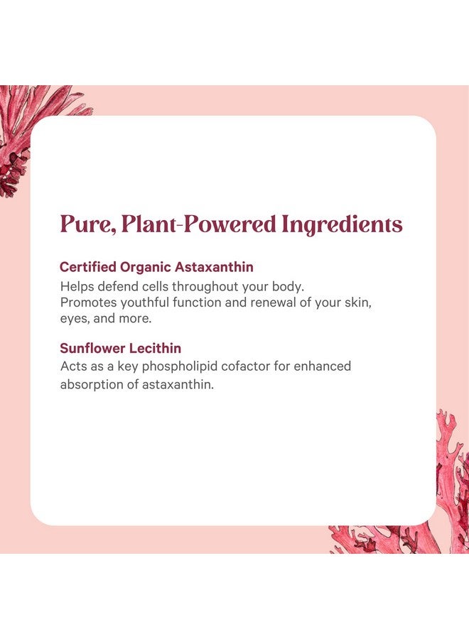 Pure Synergy مستخلص أستازانتين سوبر بيور من بيور سينرجي | أستازانتين عضوي من الطحالب مع ليسيثين عباد الشمس | دعم مضاد للأكسدة لصحة الجلد والعين (60 كبسولة) - Image 5
