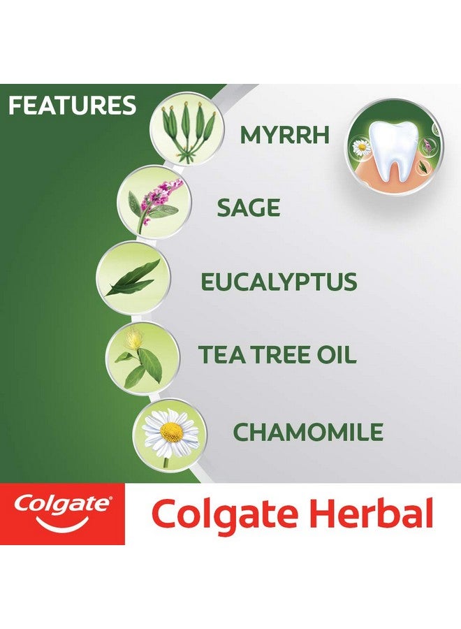 كولجيت معجون أسنان كولجيت العشبي 7 أونصة - Image 3