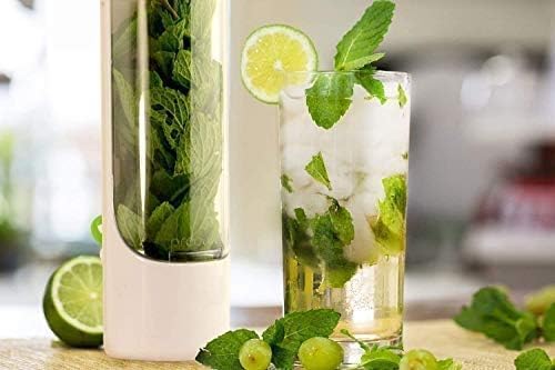 LUPINEZ Herb Saver Pod For Fridge | Herb Storage Containers | Fresh Herb Keeper for Refrigerator | Fresh Herbs Saver Keep Your Greens Fresh Longer For Coriander, Mint, Parsley, Cilantro & More (1 PC) - Image 4