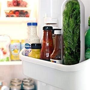 LUPINEZ Herb Saver Pod For Fridge | Herb Storage Containers | Fresh Herb Keeper for Refrigerator | Fresh Herbs Saver Keep Your Greens Fresh Longer For Coriander, Mint, Parsley, Cilantro & More (1 PC) - Image 5