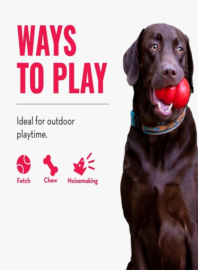 كونج لعبة كرة بيزلز للكلاب من كونغ، متوسطة الحجم، متنوعة الألوان - Image 4