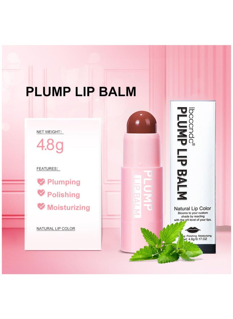 ibcccndc Plump Lip Balm Moisturizing Lip Plumper Fuller Lip Maximizer Makeup Lipsticks Tinted Lip Balm Lip Gloss Reduce Fine Lines Long-Lasting Volumizing Lipstick 03  - Image 3
