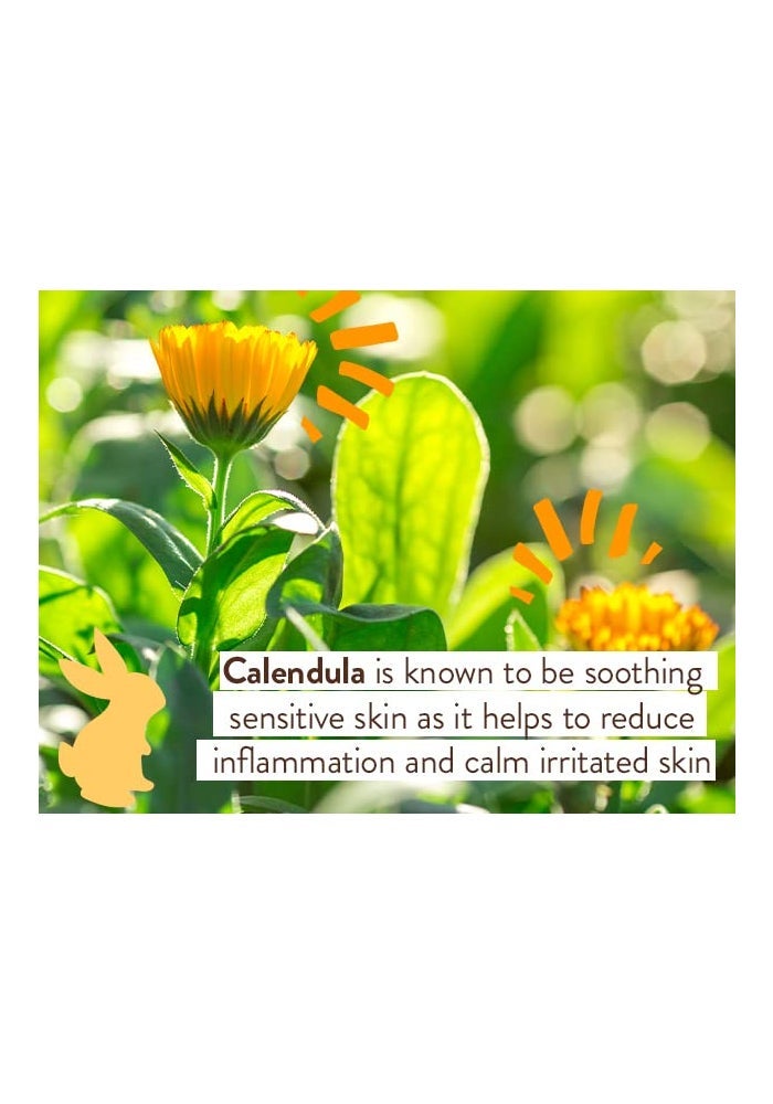 Babo Botanicals Moisturizing Oat & Calendula Body Lotion - For Dry or Sensitive Skin - For all ages - Vegan - Lightly Scented - 2-Pack - Image 4