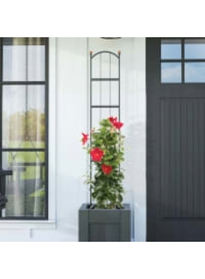 Panacea Mod Farm 60" Pot Trellis - Black - Image 3