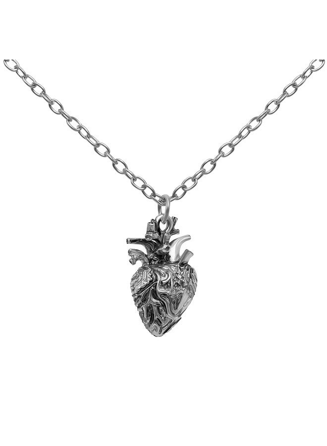 Niche-Finds Anatomical Heart Pendant 3D Human Heart Necklace Stainless Steel Anatomic Heart Halloween Pendant Nickel Free Alloy Steampunk Style Medical Personnel Prop - Image 2