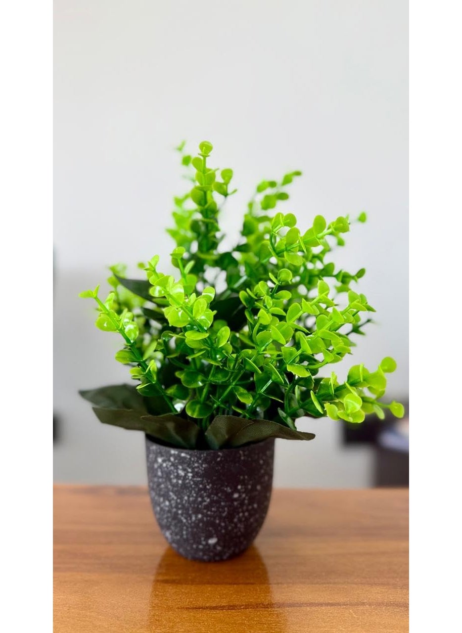 Generic Premium Artificial Plant with Pot by Pines and Cones Stylish Home Decor Ideal for Gifting  - Image 1