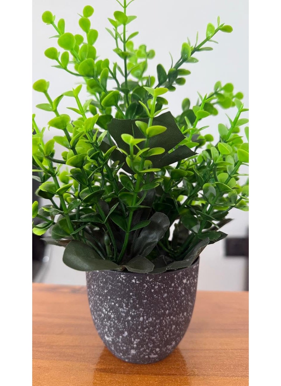 Generic Premium Artificial Plant with Pot by Pines and Cones Stylish Home Decor Ideal for Gifting  - Image 4