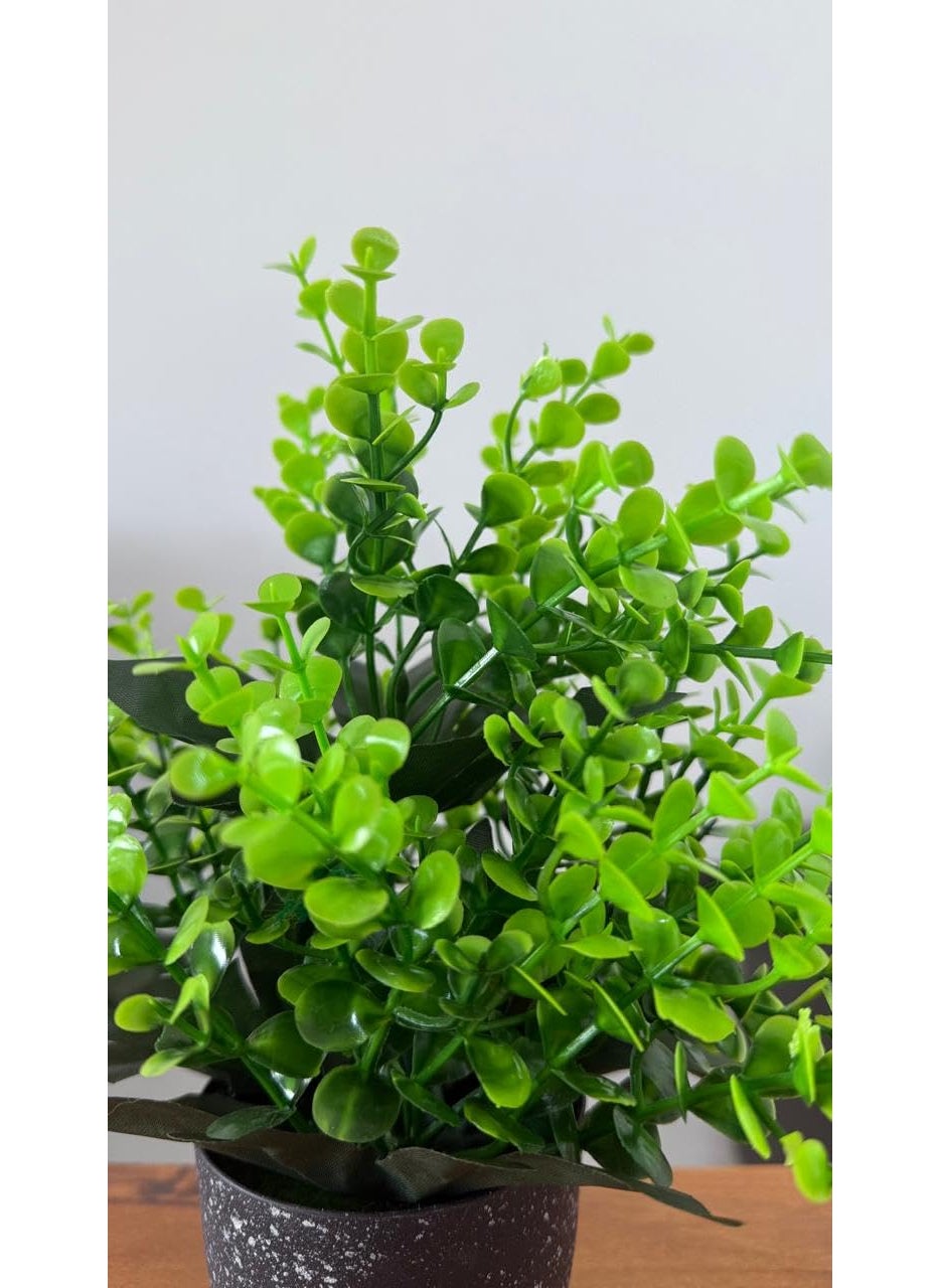 Generic Premium Artificial Plant with Pot by Pines and Cones Stylish Home Decor Ideal for Gifting  - Image 2